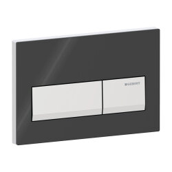 Geberit Alpha50 115.060.DW.1 Kumanda Paneli, Çift Basmalı,  Siyah, Krom Butonlu