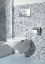 VitrA Arkitekta Tuvalet Kağıtlığı A44228 Parlak Paslanmaz Çelik - 3